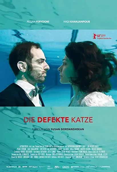 Dysfunkcyjny kot