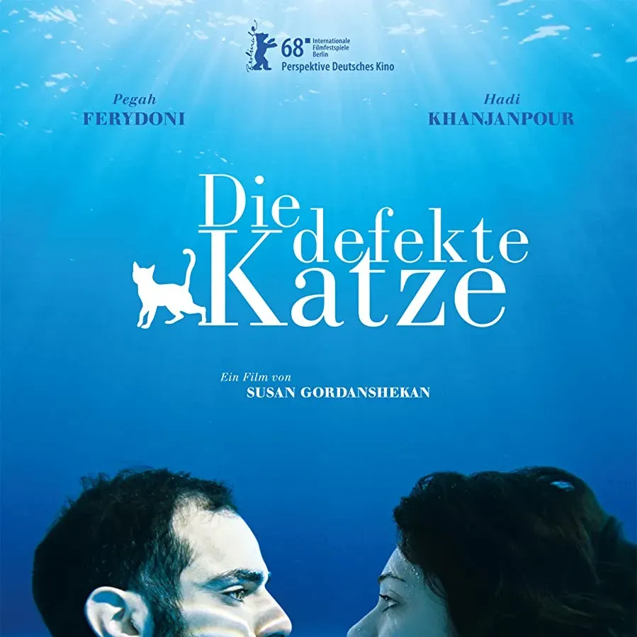 Dysfunkcyjny kot online