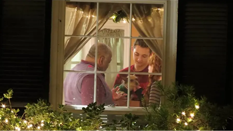 12 Dog Days of Christmas online