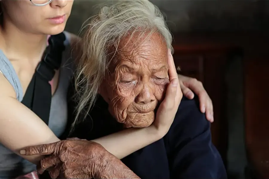 Twenty Two online