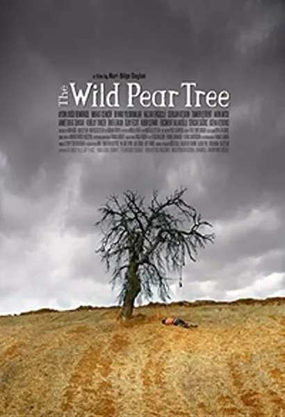 Making of The Wild Pear Tree