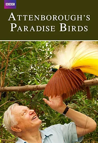 Attenborough's Paradise Birds