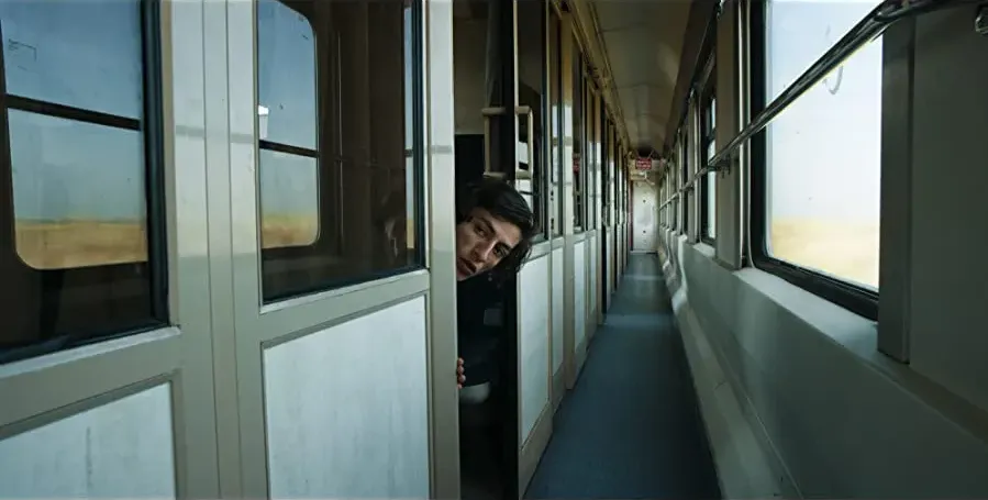 Güvercin online