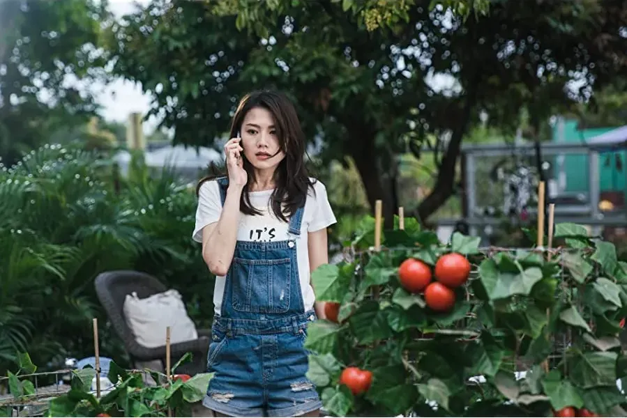'P' fung bou online