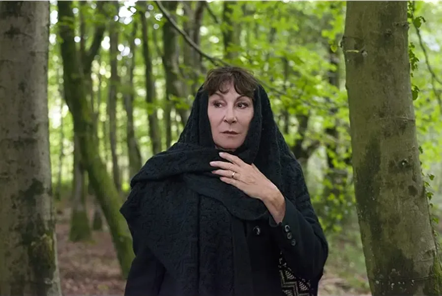 The Watcher in the Woods online