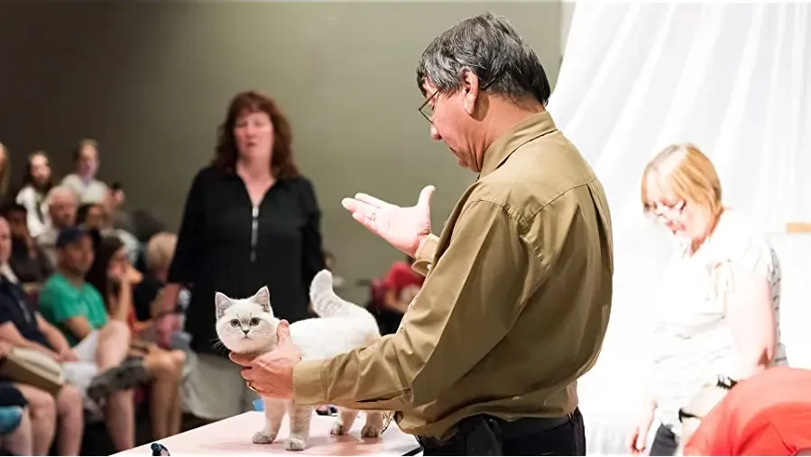 Catwalk: Tales from the Cat Show Circuit online
