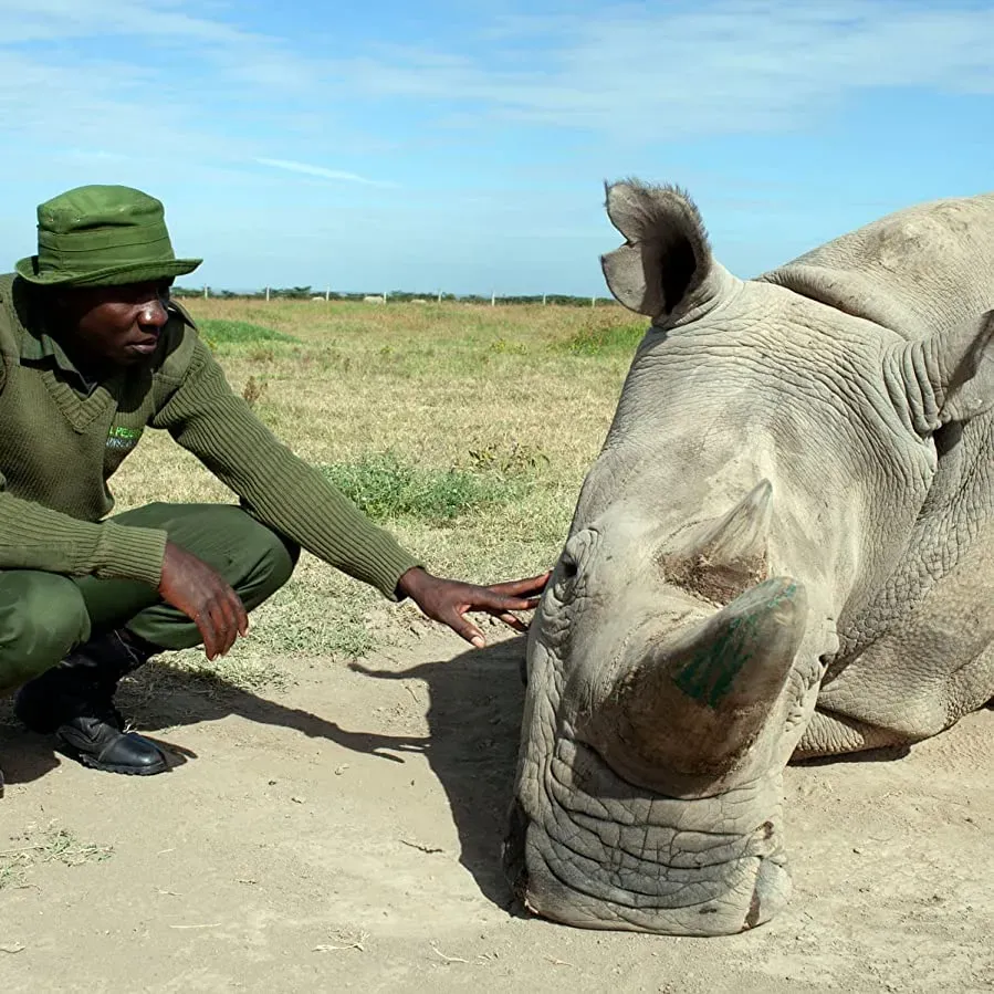Extinction: The Facts online
