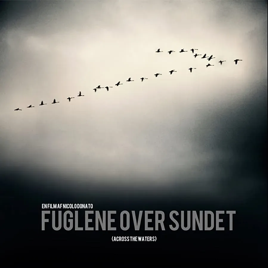 Fuglene over sundet online