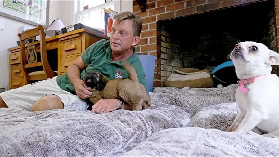 Life in the Doghouse online