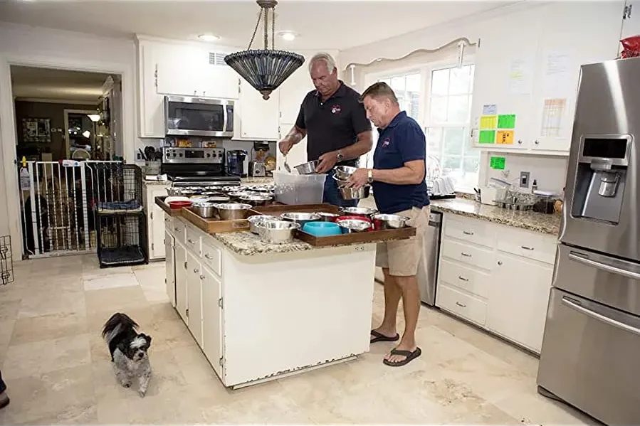 Life in the Doghouse online