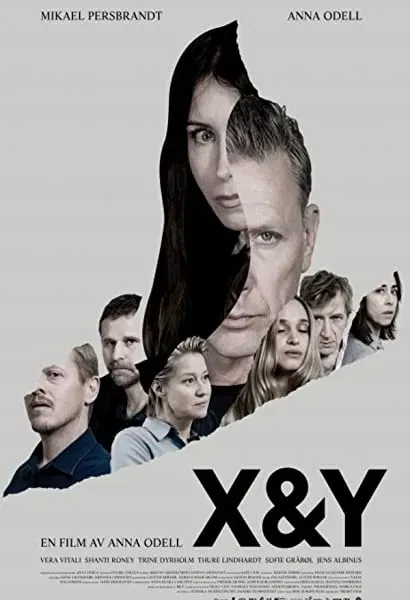 X i Y