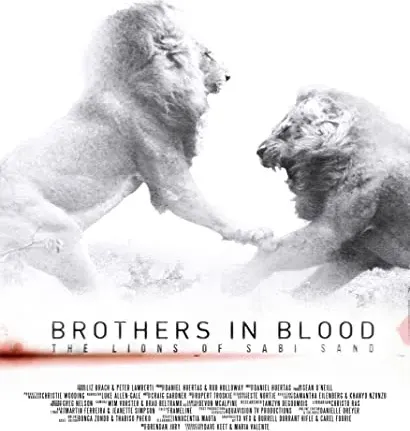 Brothers in Blood: The Lions of Sabi Sand