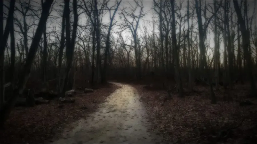Amityville: Mt. Misery Rd. online