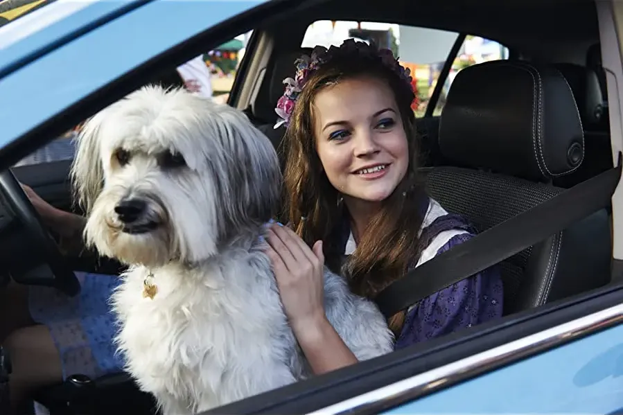 Pudsey the Dog: The Movie online