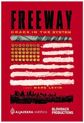 Freeway: Crack in the System