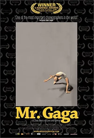 Mr. Gaga