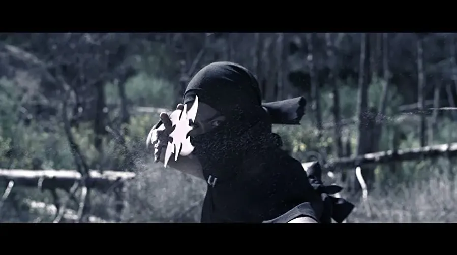 Ninja Apocalypse online