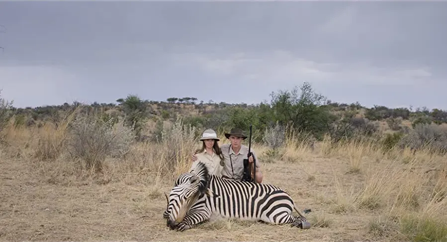 Safari online