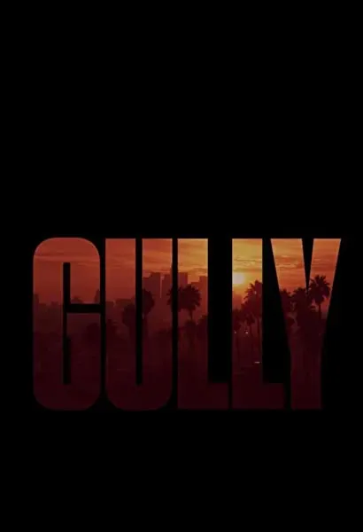 Gully