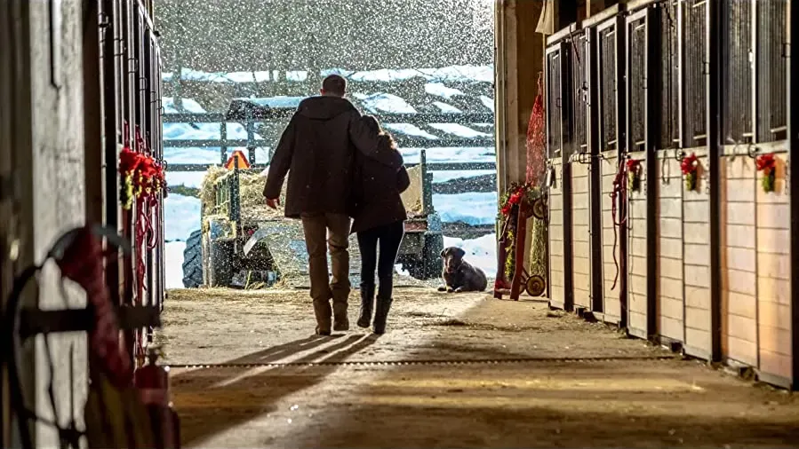 Home for Christmas online