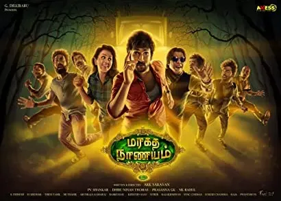 Maragadha Naanayam