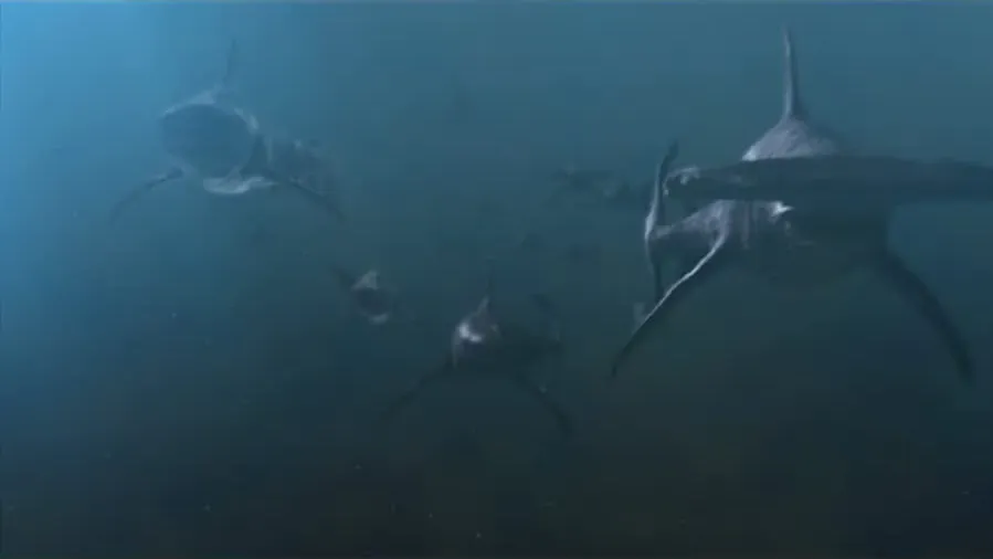 Planet of the Sharks online