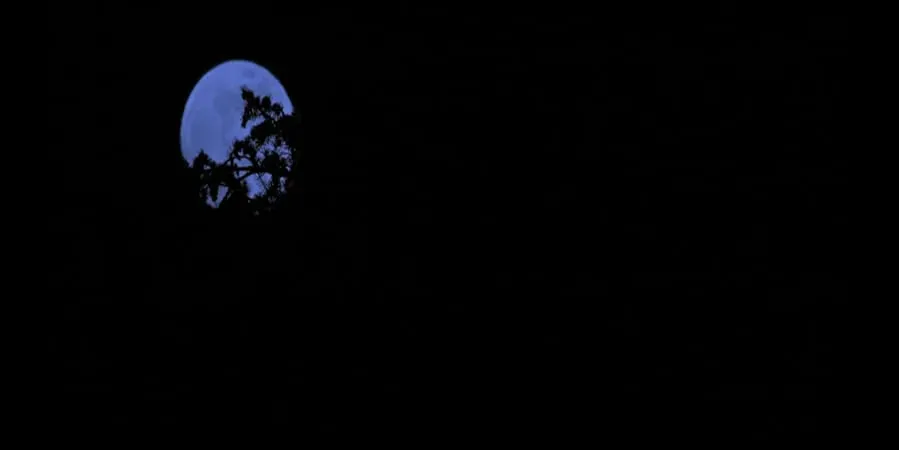 Devil in the Dark online