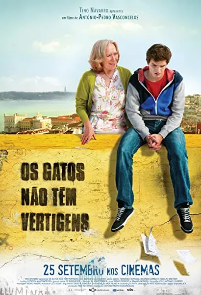 Os Gatos Não Têm Vertigens