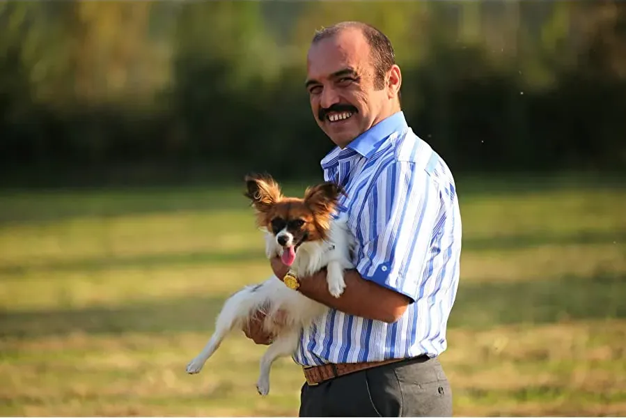 Çarsi Pazar online