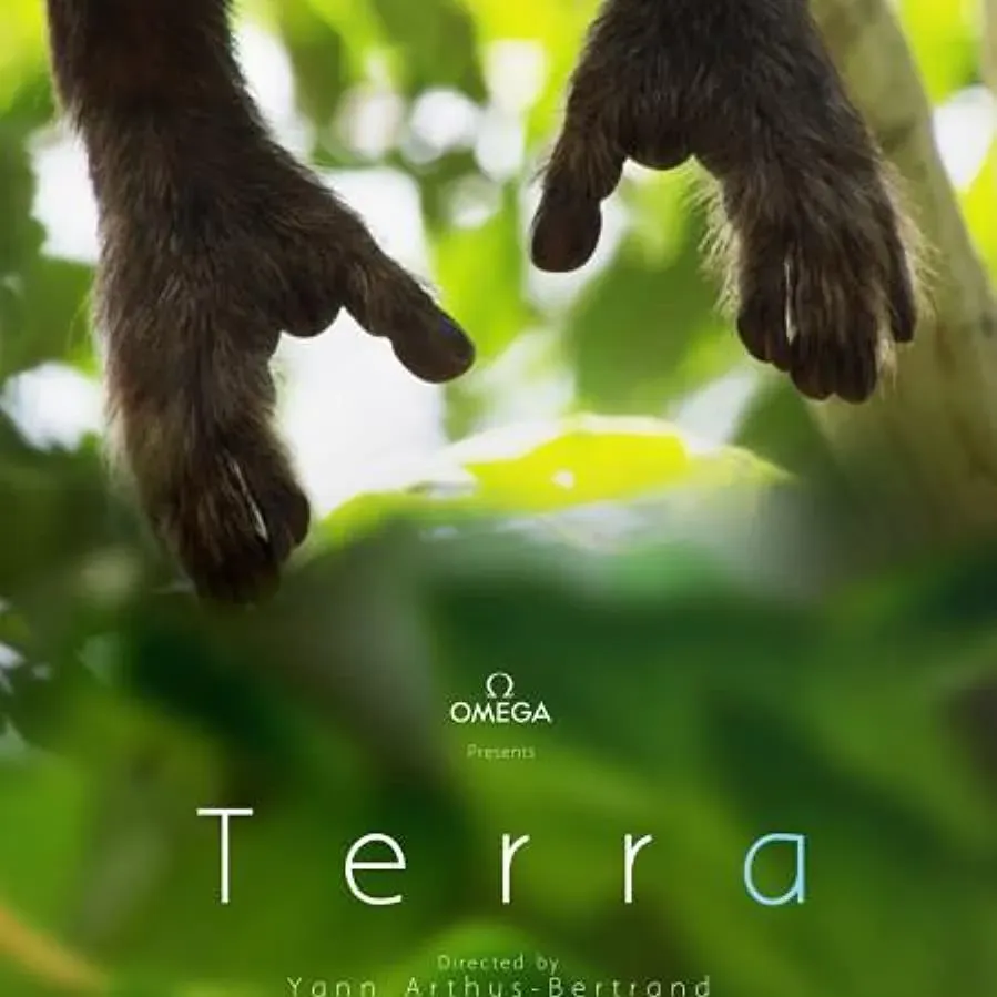 Terra online