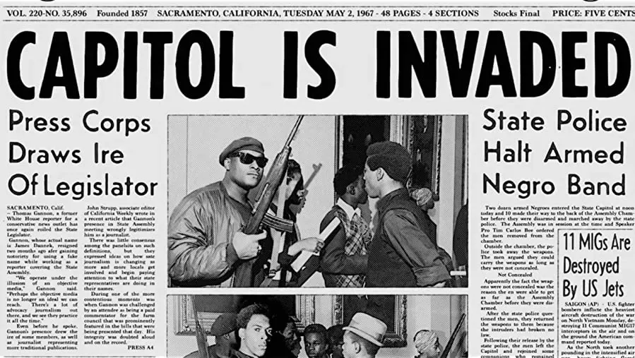 The Black Panthers: Vanguard of the Revolution online