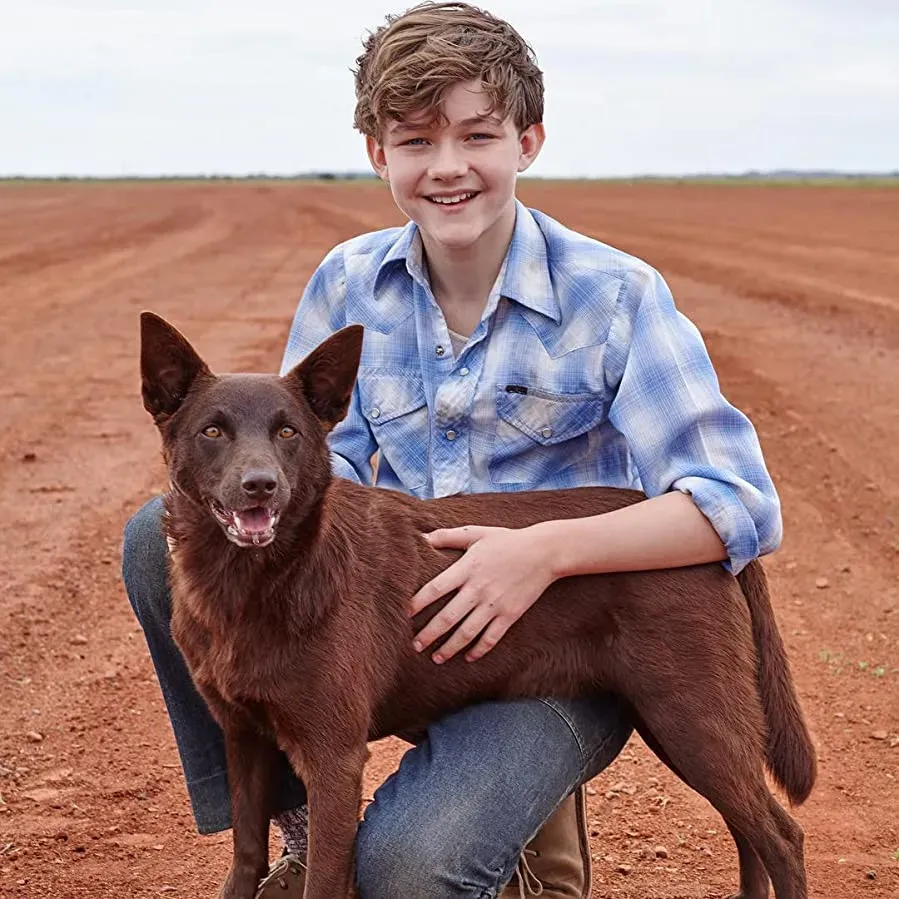 Red Dog: True Blue online