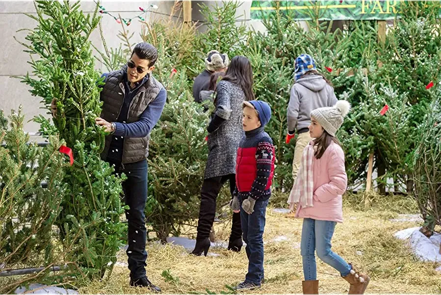 Christmas Next Door online