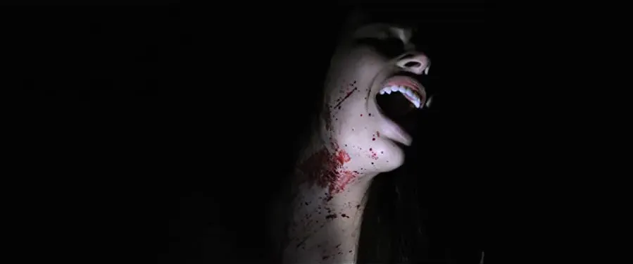 Nightlight online