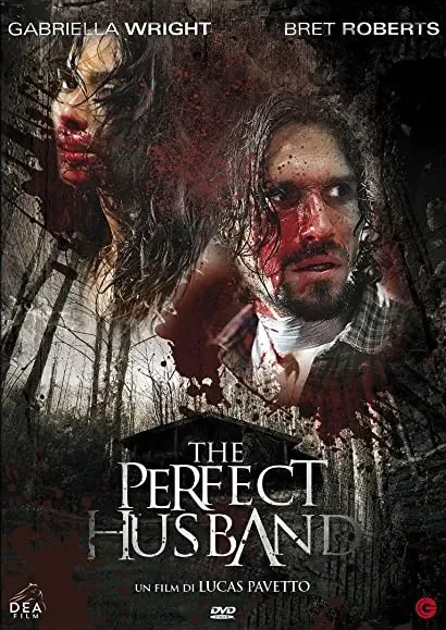 The Perfect Husband
