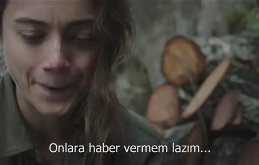 Sibel online