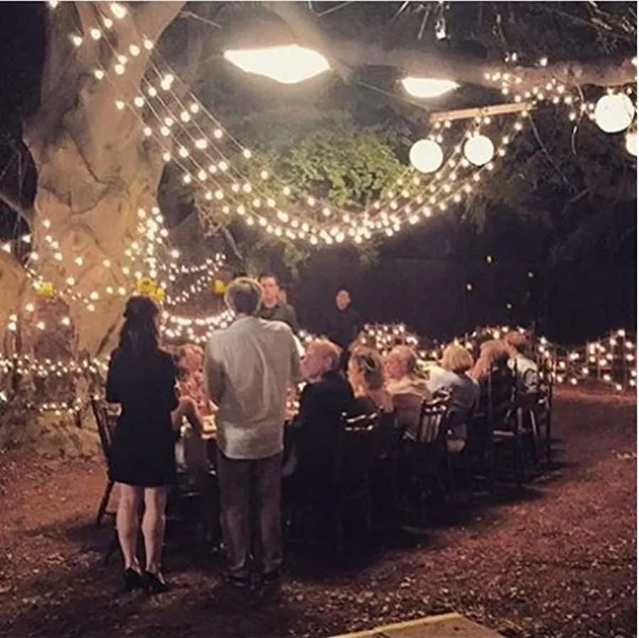 The Wilde Wedding online