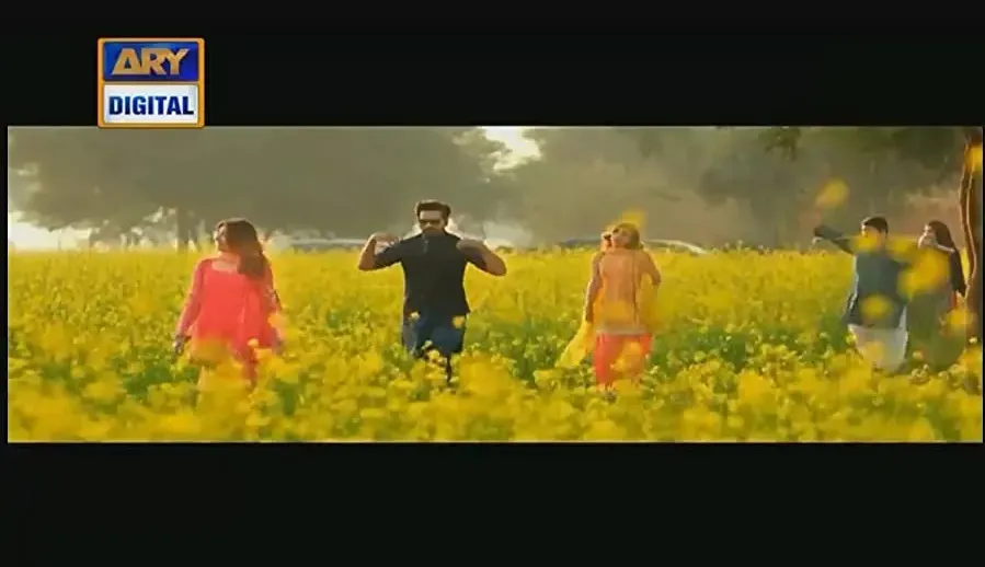 Punjab Nahi Jaungi online
