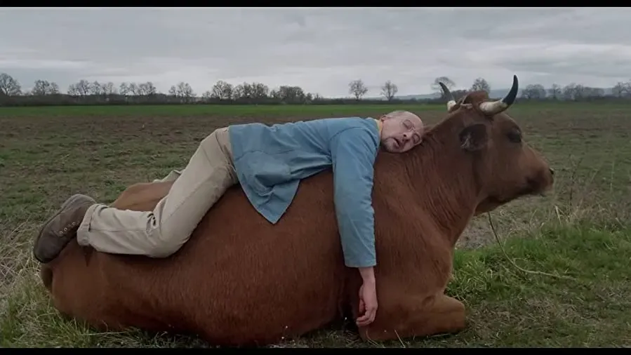 La vache online