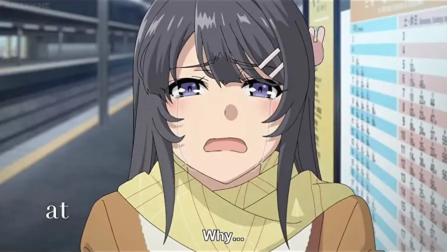 Seishun Buta Yaro wa Yumemiru Shoujo no Yume wo Minai online