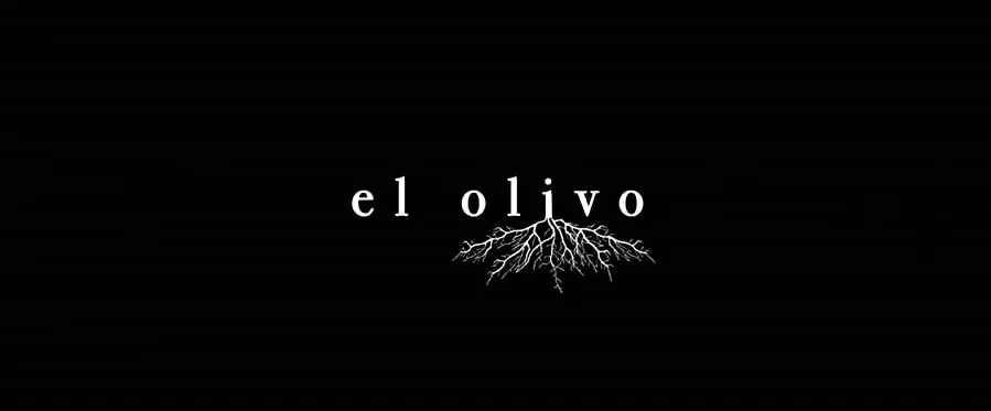 Drzewko oliwne online