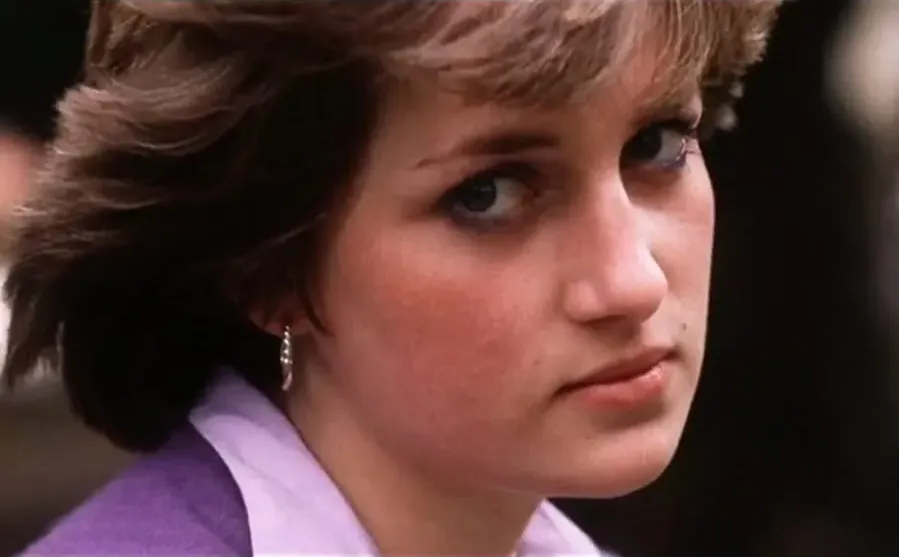 Diana: In Her Own Words online
