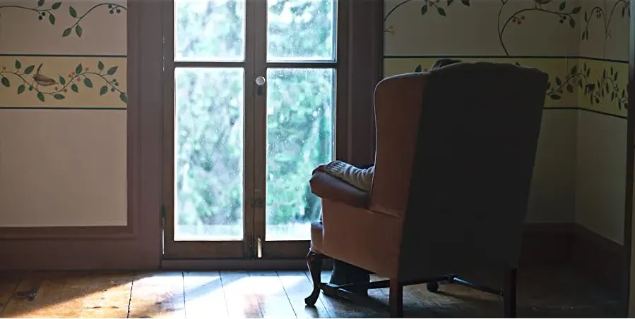 The Witch in the Window online