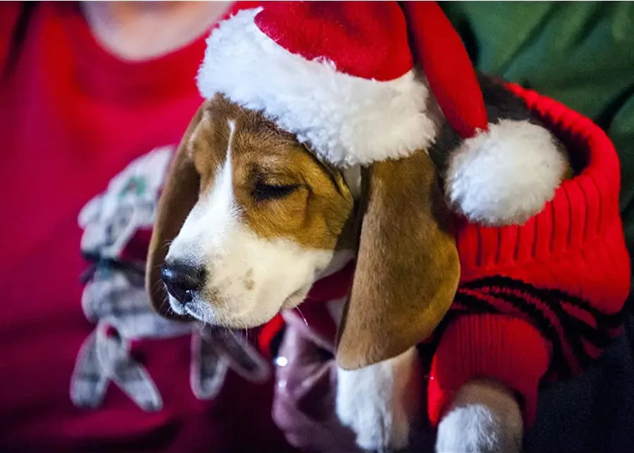 Christmas Under Wraps online