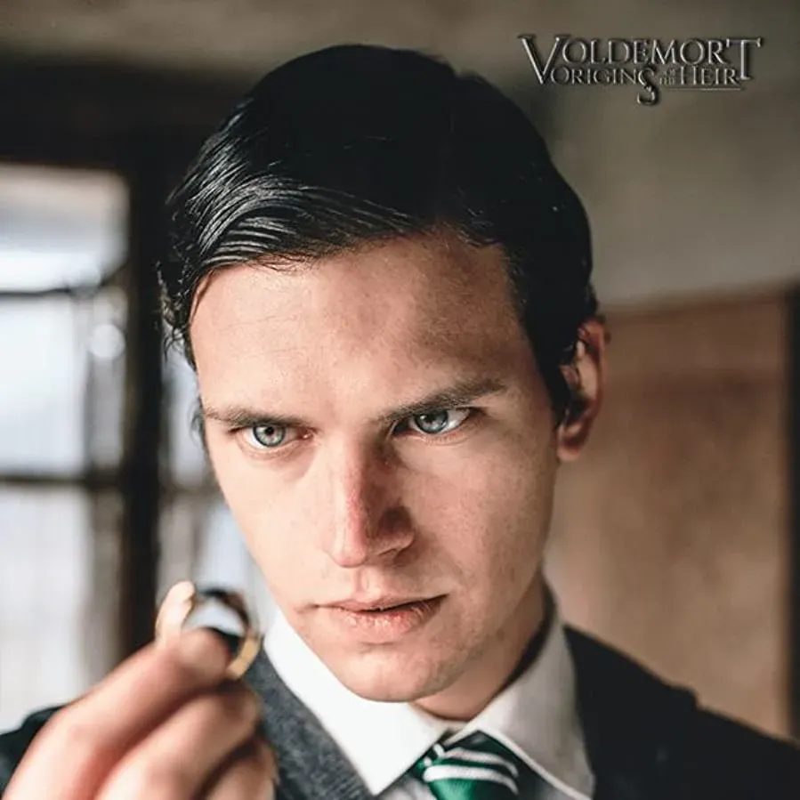 Voldemort: Origins of the Heir online
