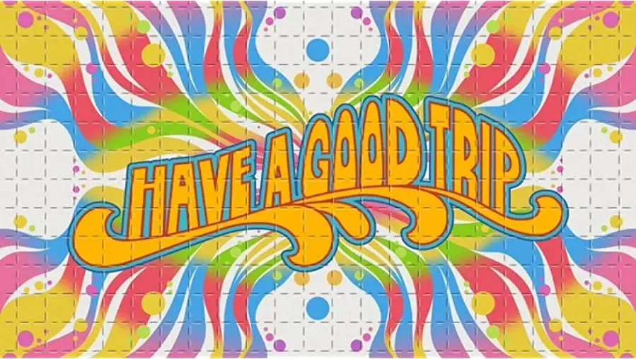 Have a Good Trip: Adventures in Psychedelics online