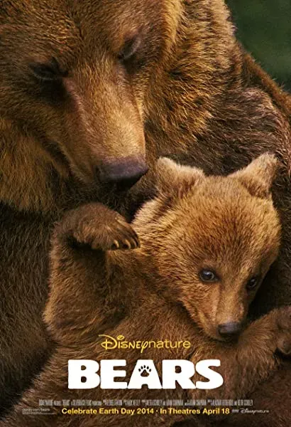Bears
