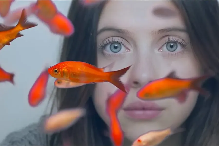 Carrie Pilby online