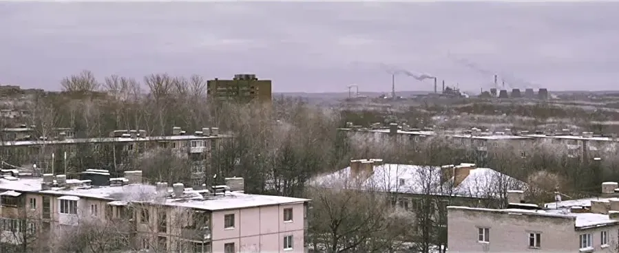 Głupiec online