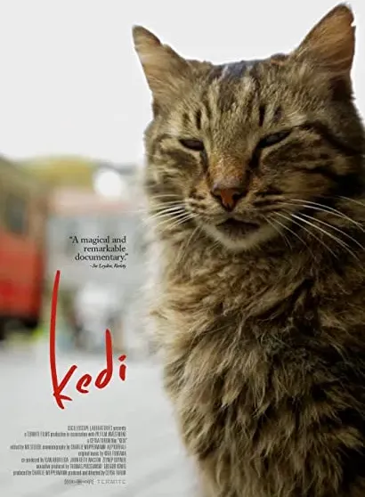 Kedi - sekretne zycie kotów